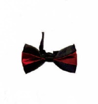BT018 make fashion bow tie online order color contrast bow tie manufacturer side view